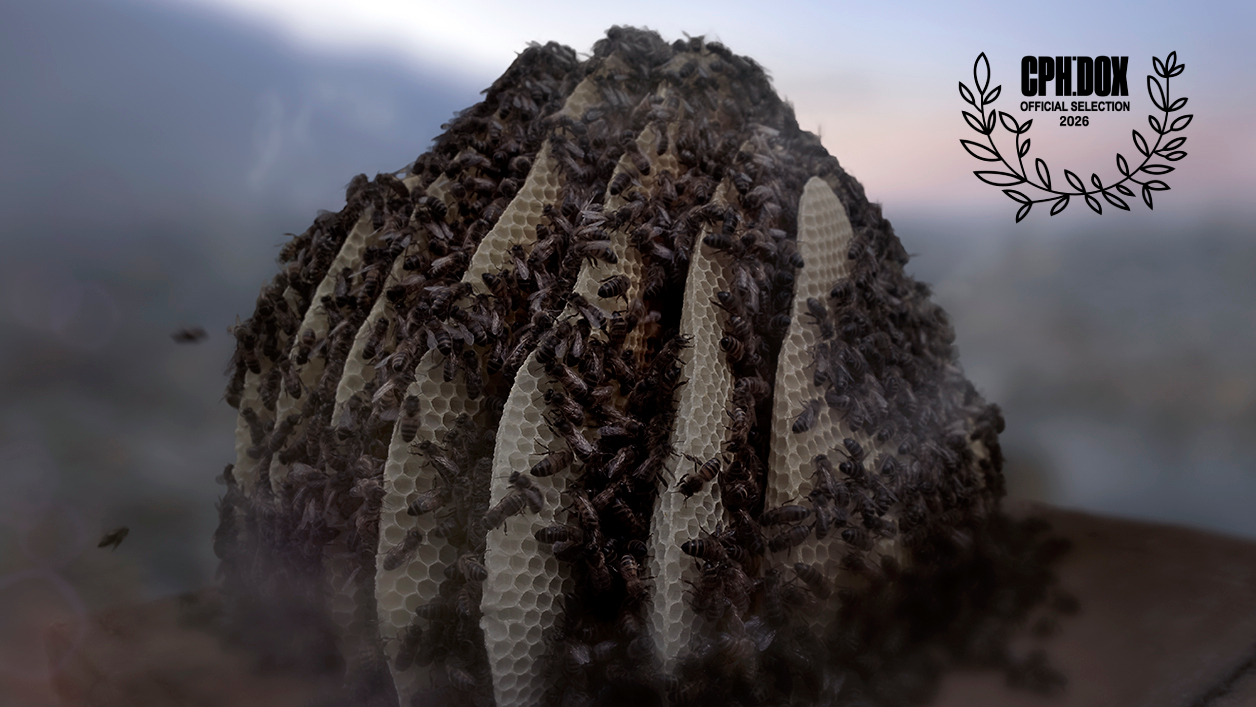 Conscious Beehive image with CPH Laurel